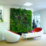 オフィスにおける観葉植物の役割