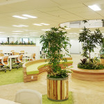 オフィスを緑化する事のメリットとは？
