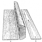 木材に関係する用語「板目」「柾目」。違いと特徴について